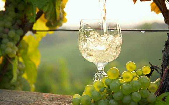50. Sajam i izložba zagorskih vina, Bedekovčina 2017.g