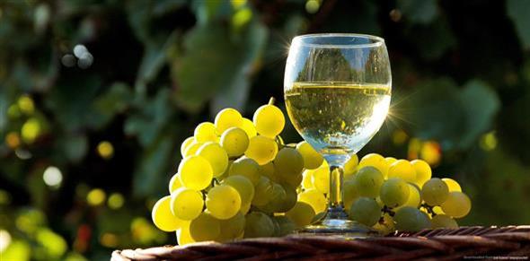 53. sajam i izložba zagorskih vina - poziv vinarima