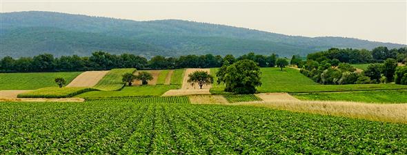 Javni natječaj za financiranje programa i projekata poljoprivrednih udruga u 2022. g.