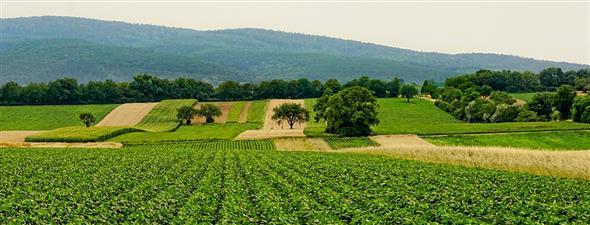 Natječaj za potporu za pripremu projektne dokumentacije u 2022. godini