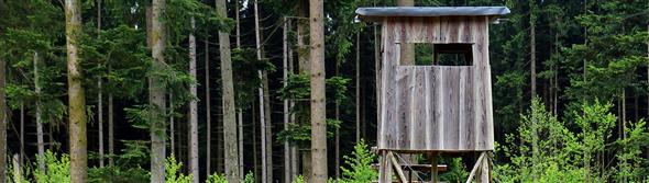 Savjetovanje - donošenje God. plana uobičajenih mjera za spreč. šteta od divljači