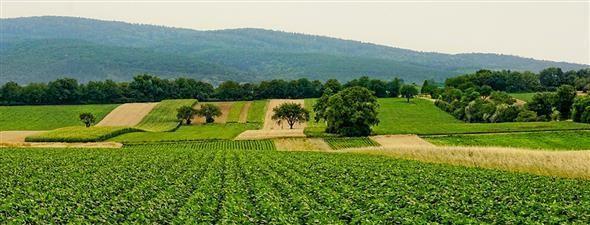 Ove godine za 10 poljo mjera osigurano 2,41 mil. kn