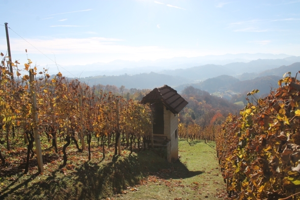 Martinje - blagdan sv. martina