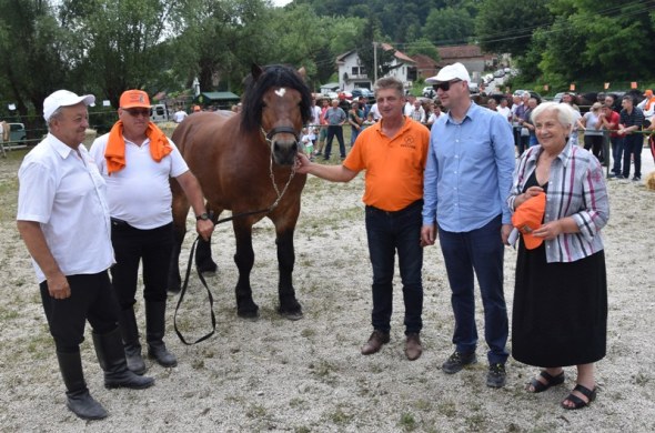 Krava Crvena i pastuh Ljiljan šampioni ovogodišnje županijske izložbe stoke i konja