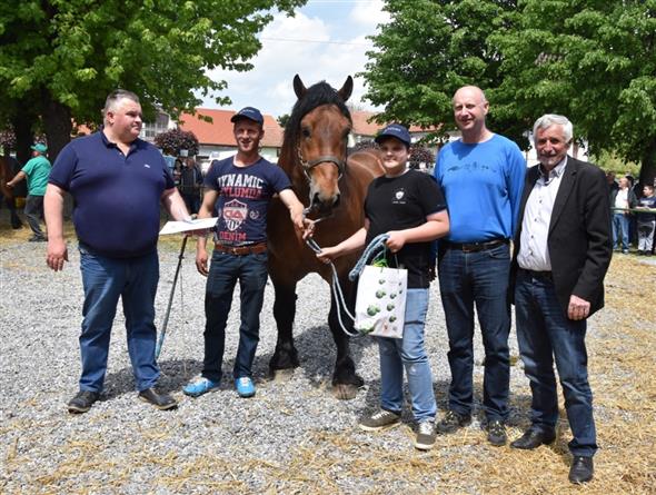 Krava Maja i pastuh Vihor šampioni ovogodišnje županijske izložbe stoke i konja