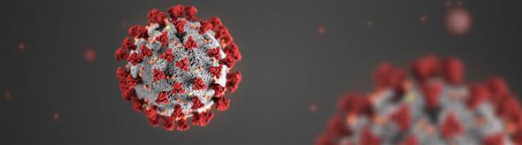 Koronavirus