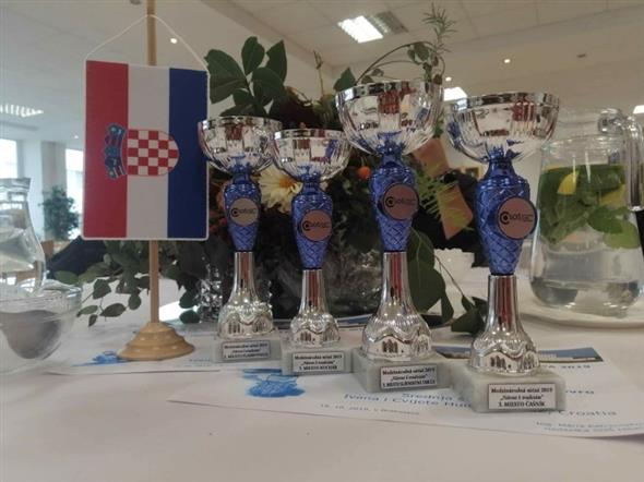 Učenici SŠ Zabok ponovno ostvarili međunarodni uspjeh