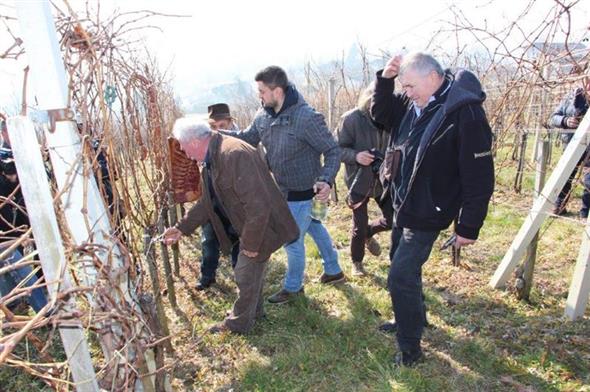 Vincekovo – početak nove vinogradarske godine