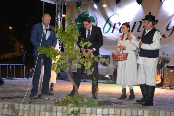 Župan Kolar na 46. Branju grojzdja