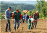 Zasađeno 1700 cijepova autohtonih sorata vinove loze